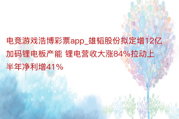 电竞游戏浩博彩票app_雄韬股份拟定增12亿加码锂电板产能 锂电营收大涨84%拉动上半年净利增41%