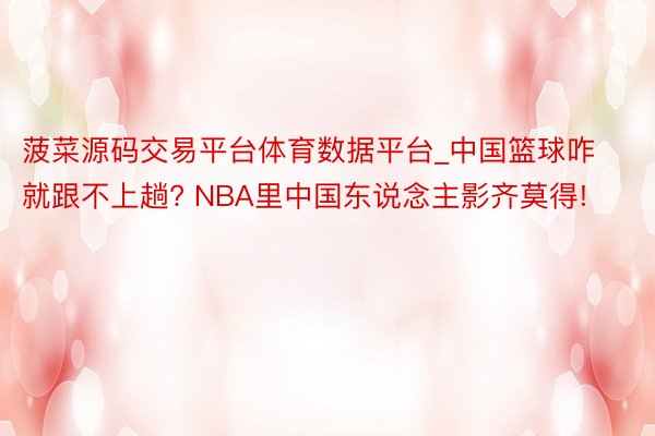 菠菜源码交易平台体育数据平台_中国篮球咋就跟不上趟? NBA里中国东说念主影齐莫得!